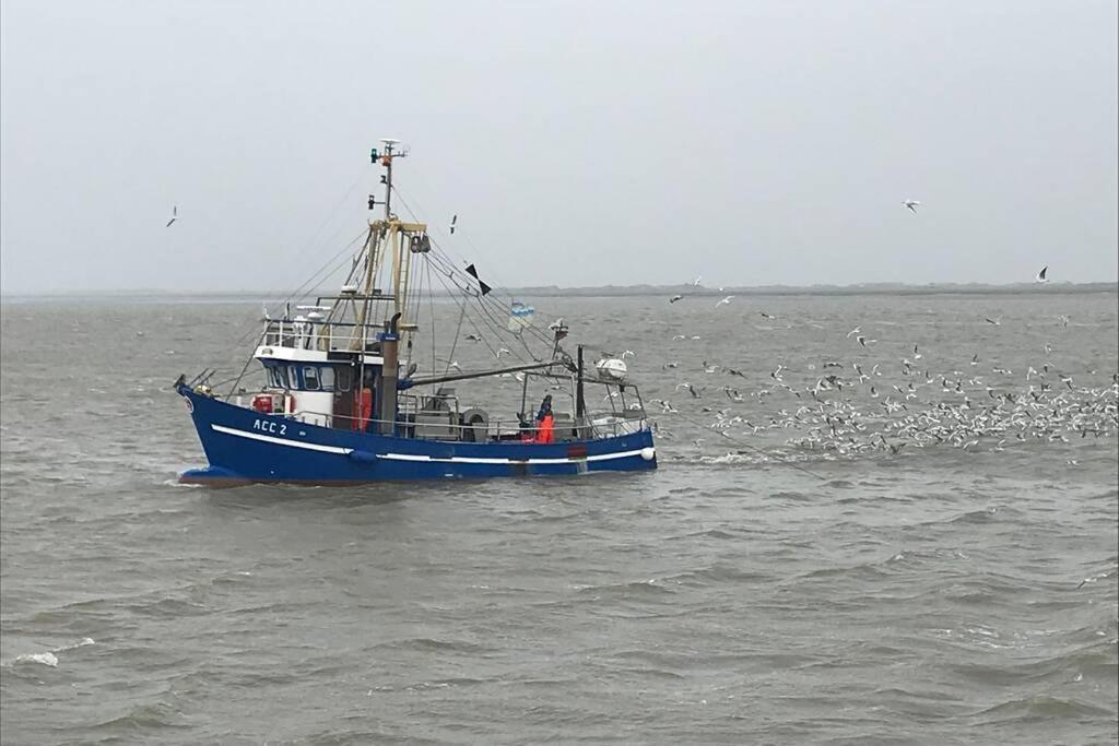 Nordsee Ferienwohnung Fuer 2 Personen Schillig Exteriör bild